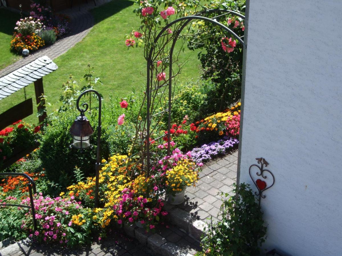 Haus Mittelberg Lägenhet Olsberg Exteriör bild