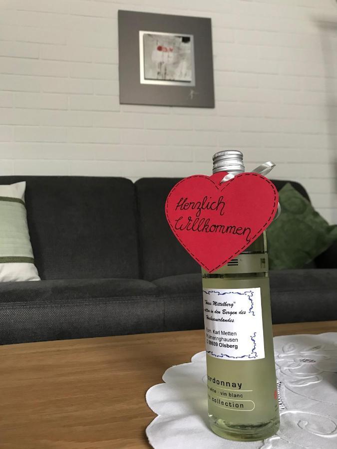 Haus Mittelberg Lägenhet Olsberg Exteriör bild