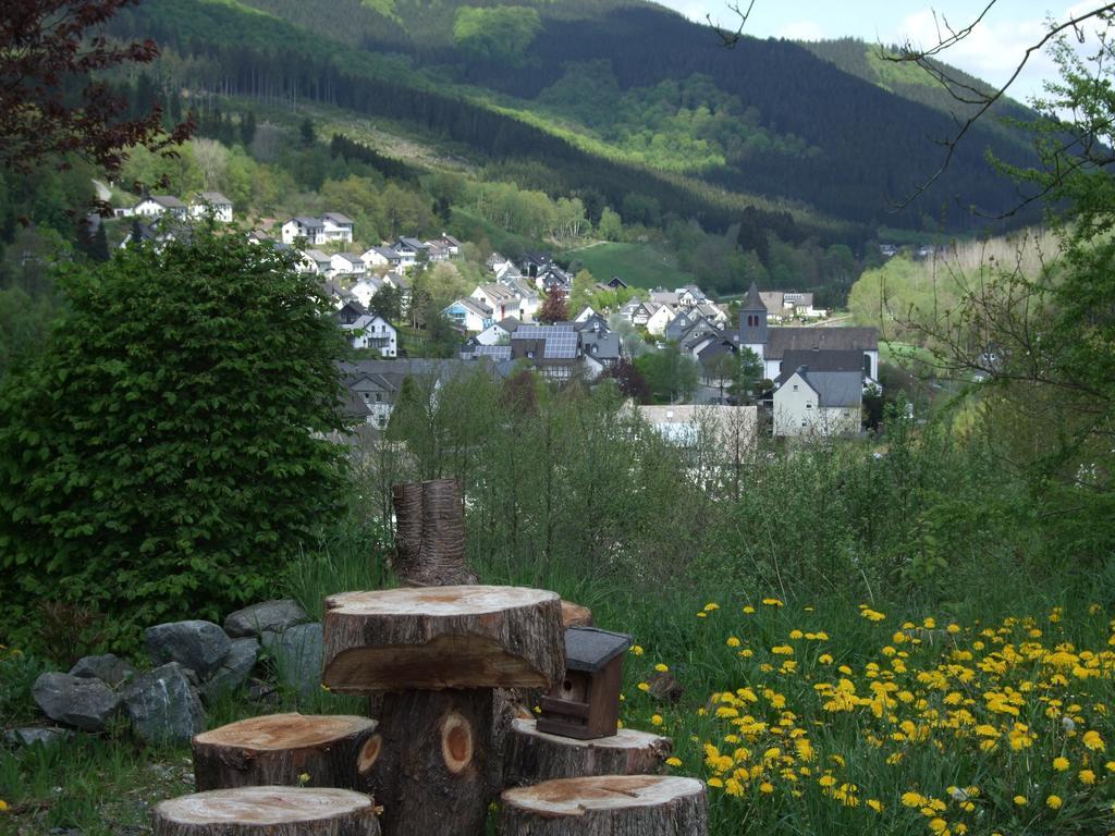 Haus Mittelberg Lägenhet Olsberg Rum bild
