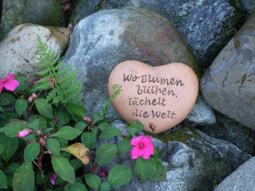 Haus Mittelberg Lägenhet Olsberg Exteriör bild