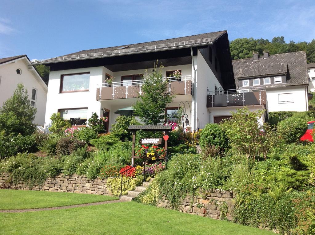 Haus Mittelberg Lägenhet Olsberg Exteriör bild