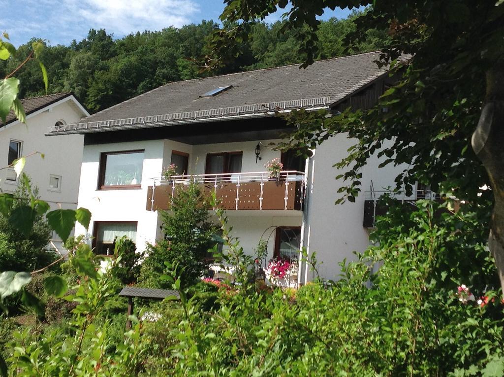 Haus Mittelberg Lägenhet Olsberg Exteriör bild