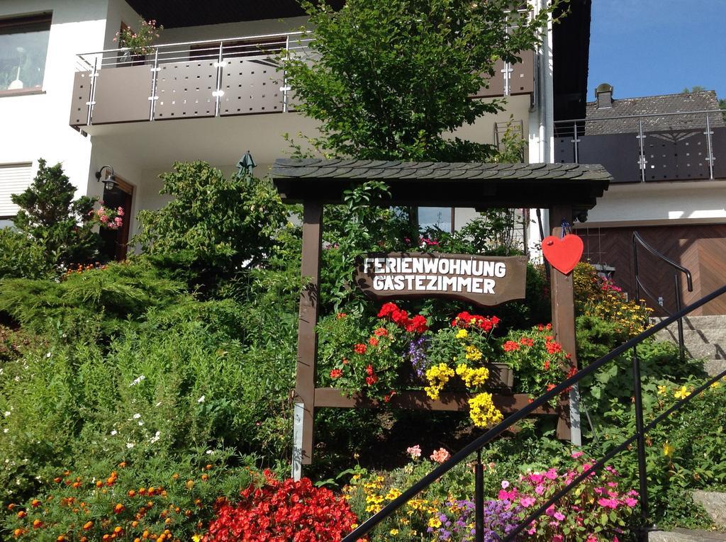 Haus Mittelberg Lägenhet Olsberg Exteriör bild