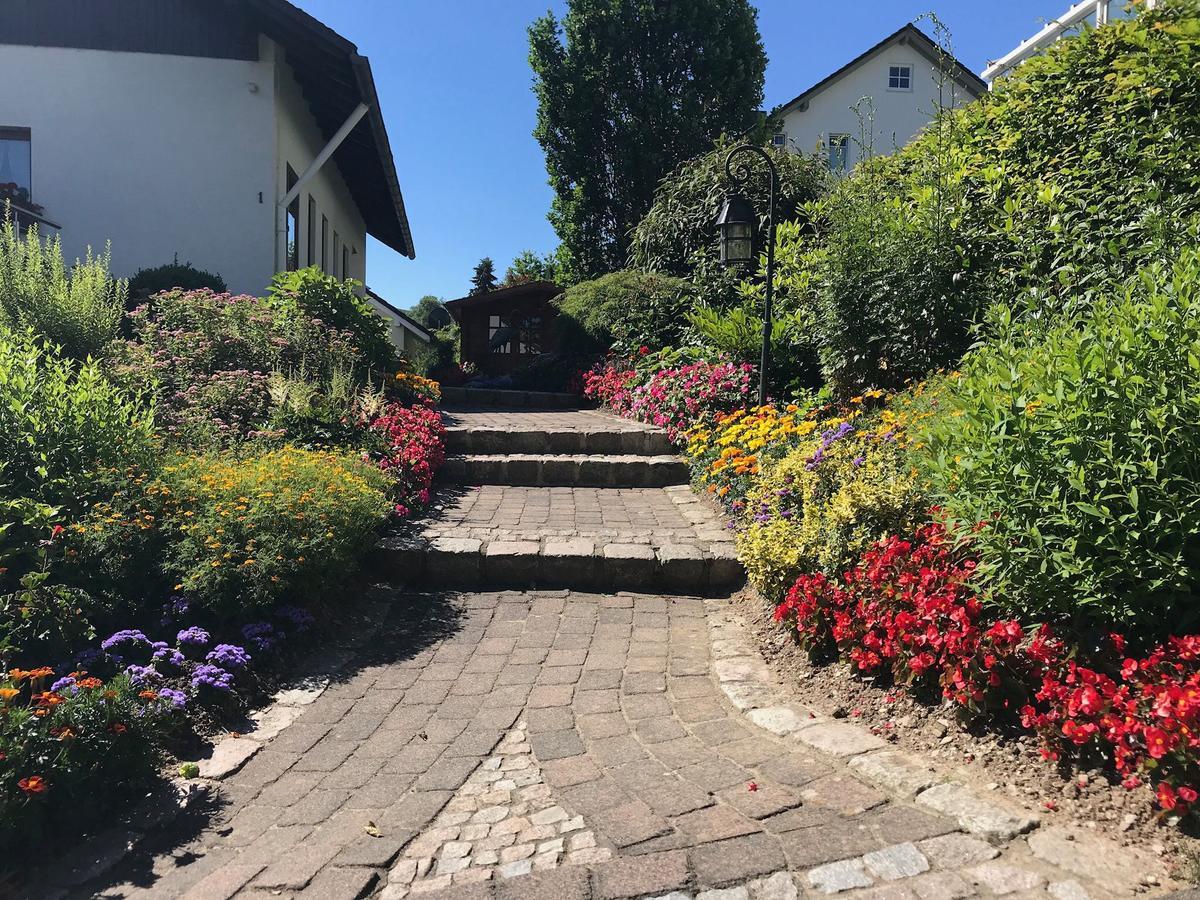 Haus Mittelberg Lägenhet Olsberg Exteriör bild