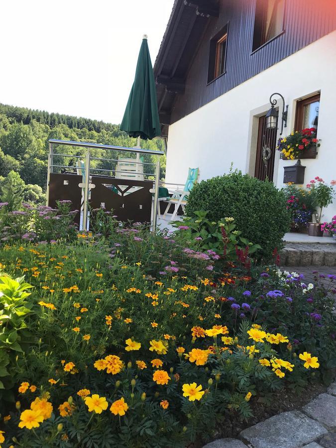 Haus Mittelberg Lägenhet Olsberg Exteriör bild